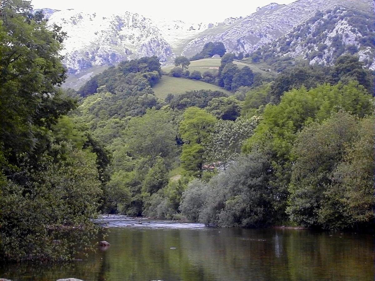 Apto Rio Ason, Desconexion Total Con Piscina Y Vistas Espectaculares Gibaja Exteriör bild